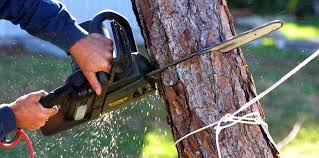 Best Soil Testing and Treatment  in Forest Park, GA