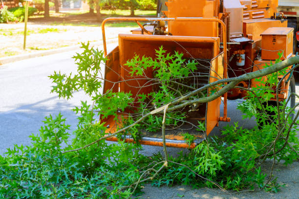 Landscape Design and Installation in Forest Park, GA
